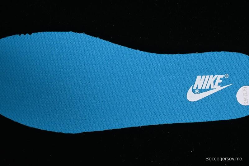 Nike Dunk Low SB Light Blue Grey Retro Skateboarding Shoes - DV0831-001